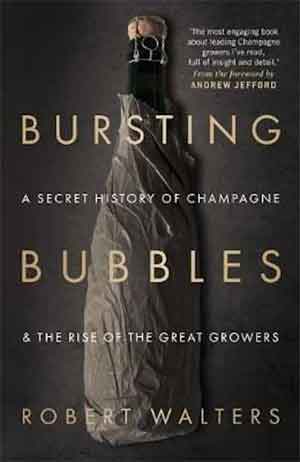 Boek over Campagne Robert Walters Bursting Bubbles